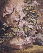 Still-life (mk47)